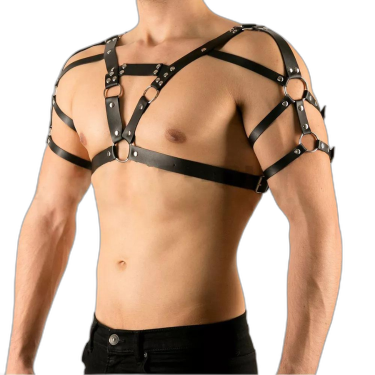 Buckle Up Buddy Black Harness