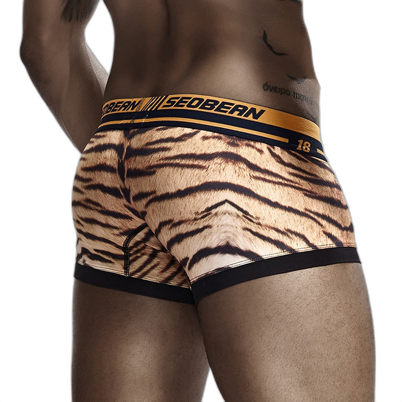 Seobean Tiger Boxers
