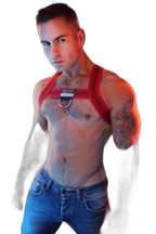 Breedwell Cumdump Bulldog Harness Red