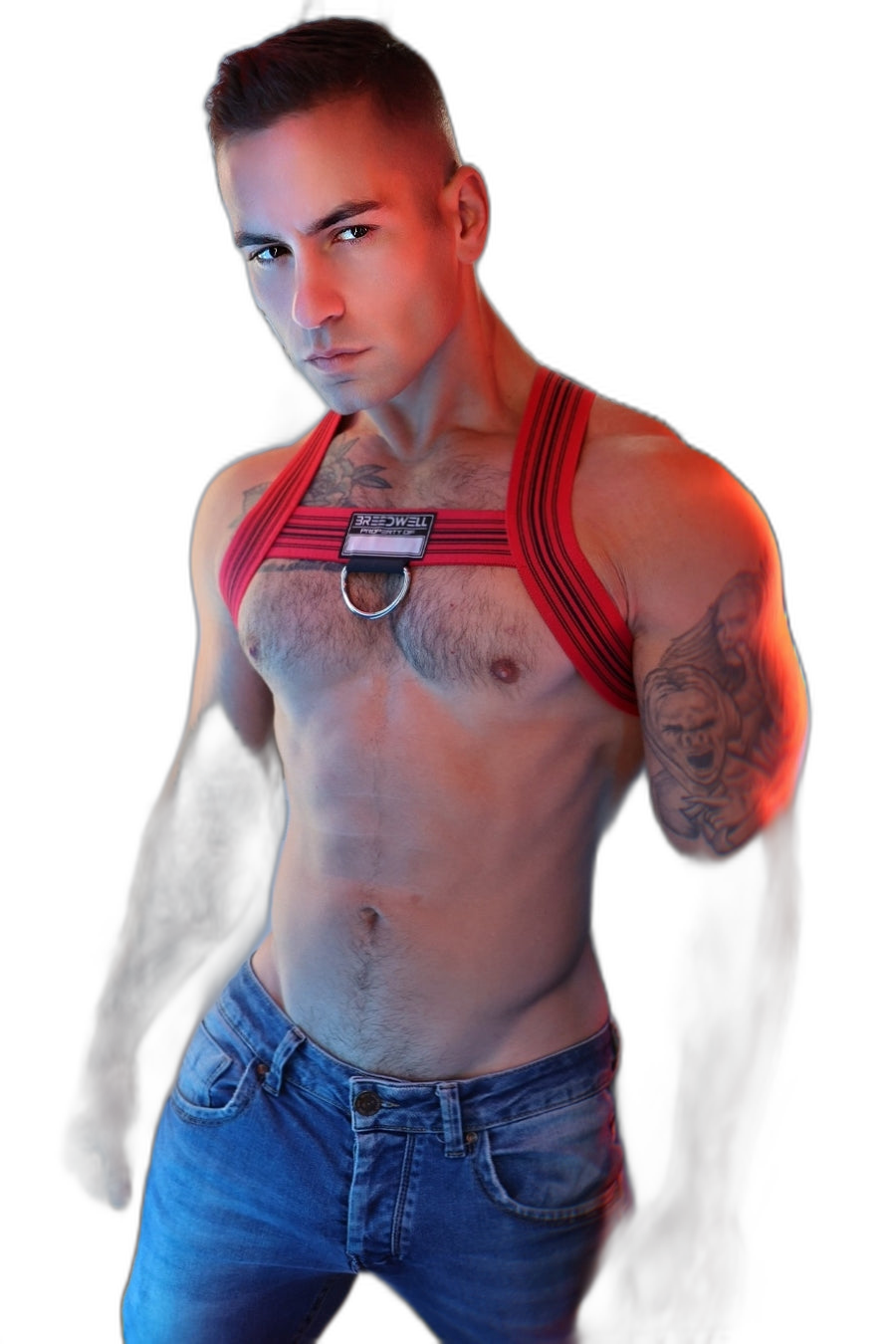 Breedwell Cumdump Bulldog Harness Red