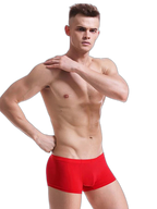 Thin Breathable Ice Silk U Convex Boxers for Men