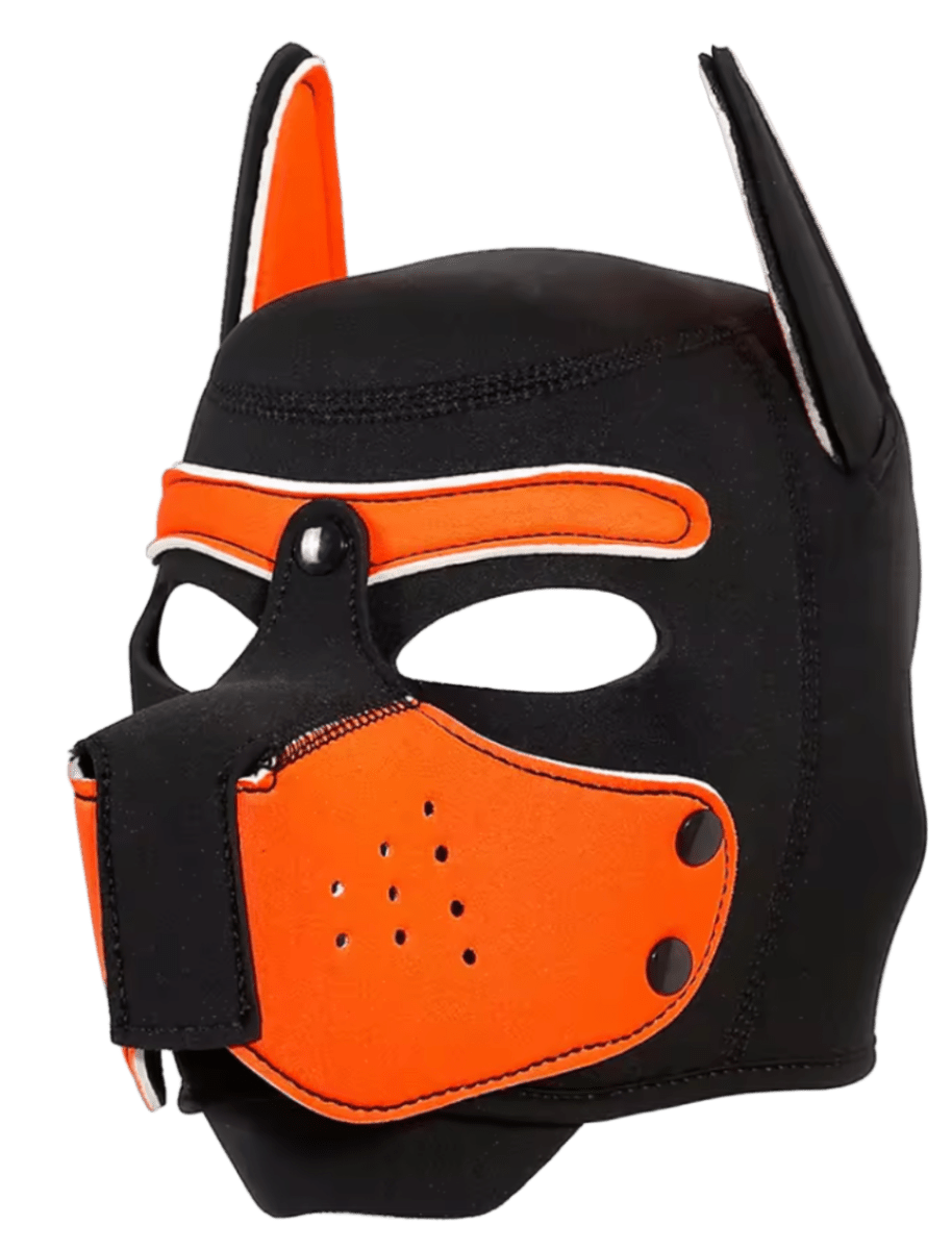 Puppies First Hood Orange