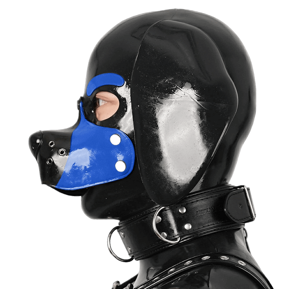 Furrjoi Silicone Beagle Hood Blue