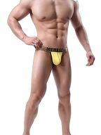 4 Pack Men's Single Pouch Ice Silk Sexy Thong