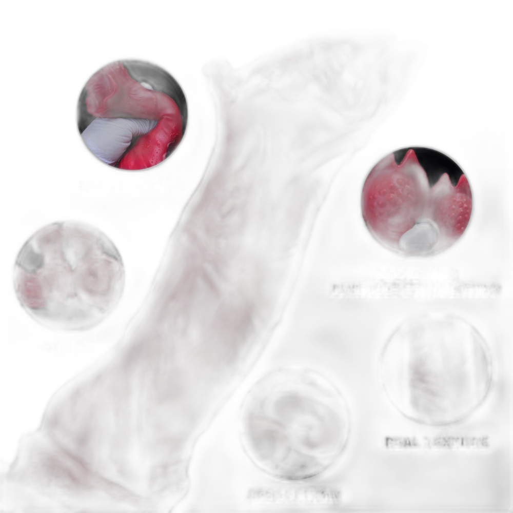 Red Rock Turtle - Fantasy Alien Dildo
