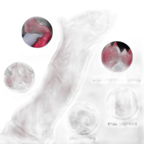 Red Rock Turtle - Fantasy Alien Dildo