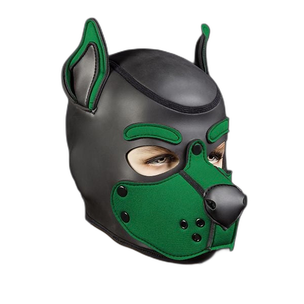 Mr S Leather Neoprene K9 Puppy Hood | Black/Hunter Green