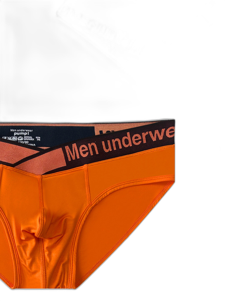 2 Pack Men's Stylish V-Shaped Waistband Briefs