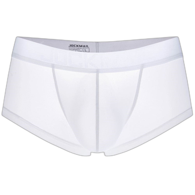 Transparent Silky Boxer Briefs