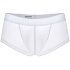 Transparent Silky Boxer Briefs