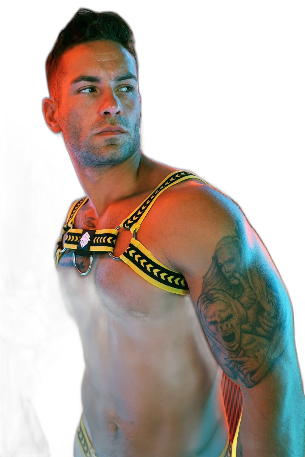 Breedwell Daddys Favourite Bulldog Harness Yellow