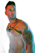 Breedwell Daddys Favourite Bulldog Harness Yellow