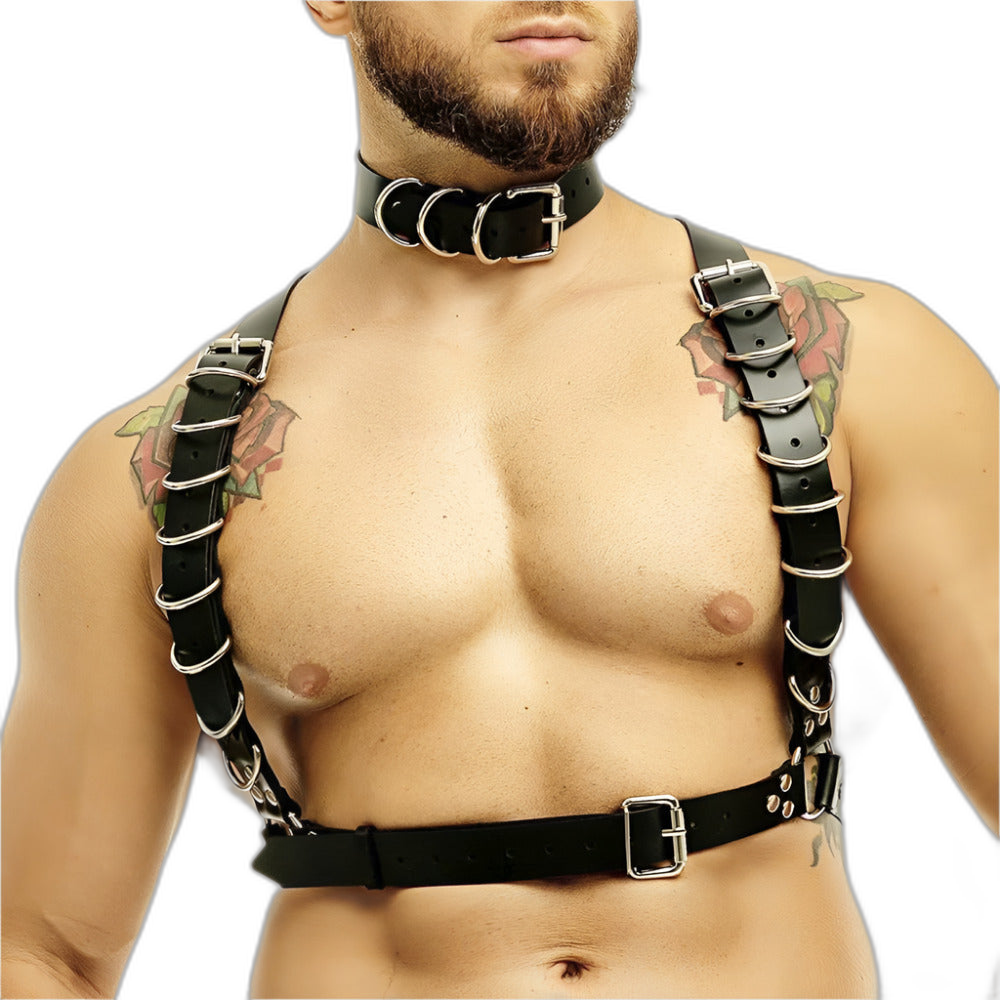 Full Buckle Body Harness