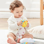 Skip Hop Explore & More Follow-Bee Crawl Toy