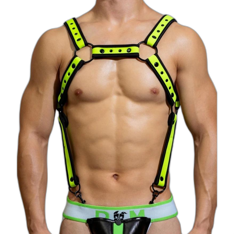 Fusion Shoulder Strap Metallic Buckle Harness