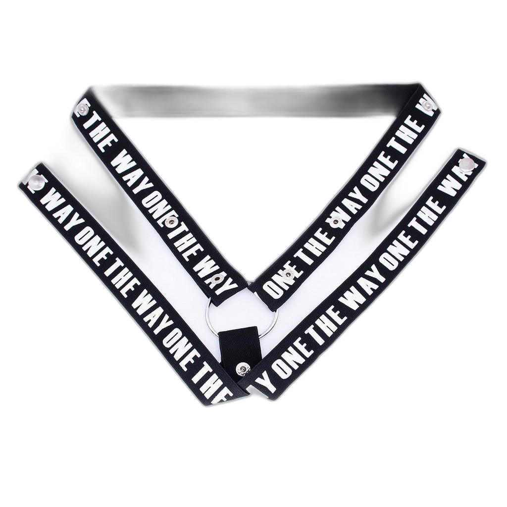 Chastity Cage Tightening Belt