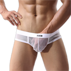 Mesh Silk Briefs
