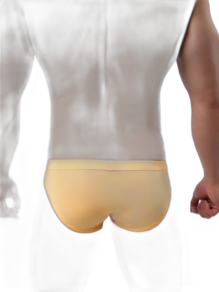 2 Pack Men's Ultra-Thin Ice Silk Briefs