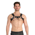 Prowler RED Leather Noir Harness Black