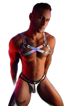 Breedwell Illuminator Bulldog Harness Holo
