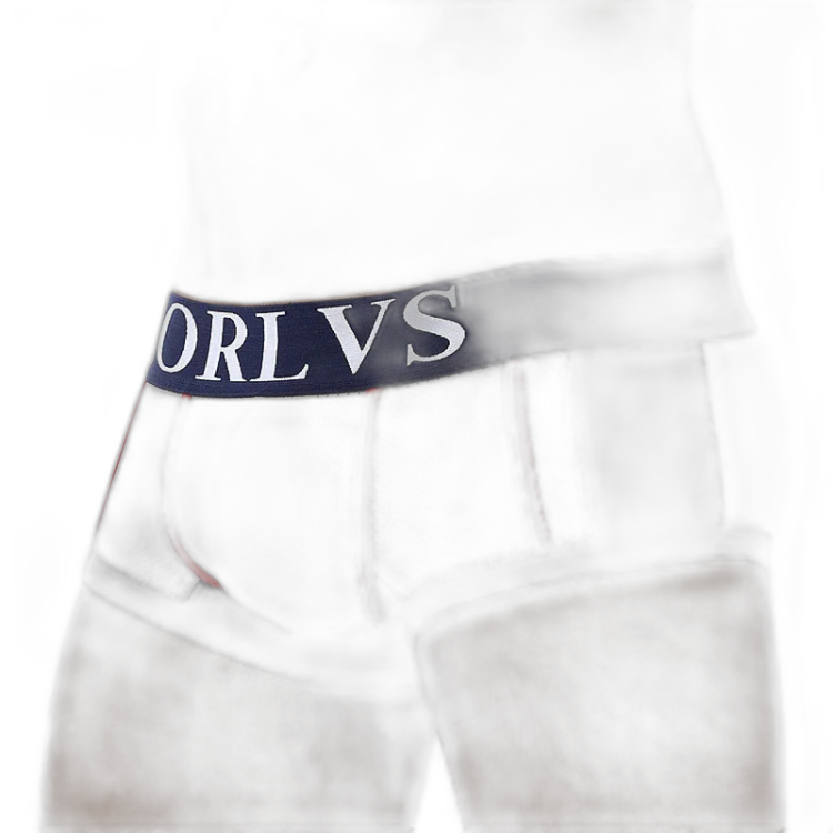 ORLVS Mesh Pocket Boxers