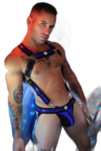 Breedwell Illuminator Body Harness Blue Holo