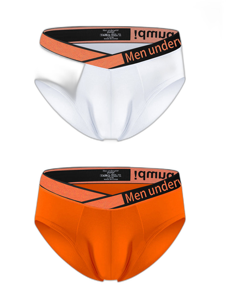 2 Pack Men's Stylish V-Shaped Waistband Briefs
