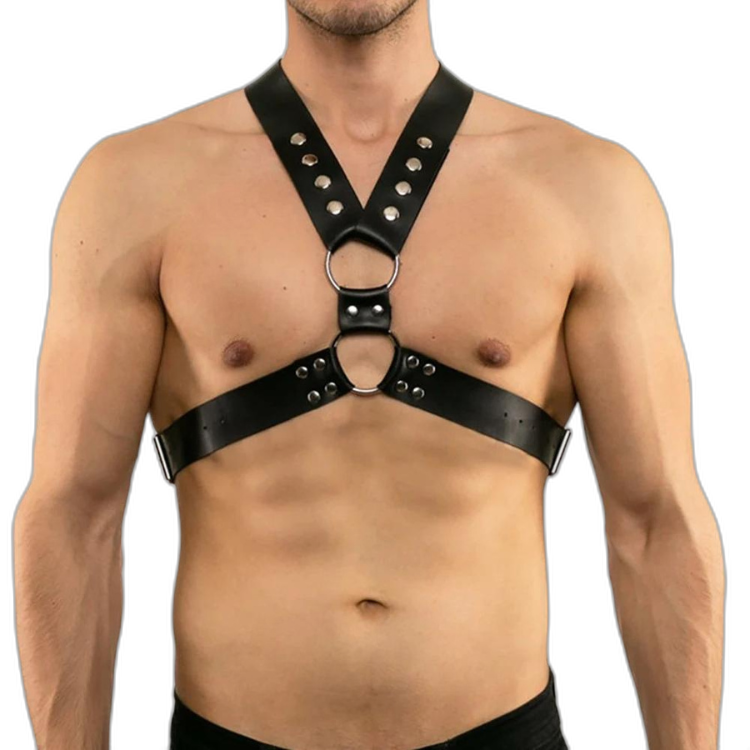 Buckle Up Buddy Black Harness