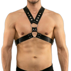 Buckle Up Buddy Black Harness