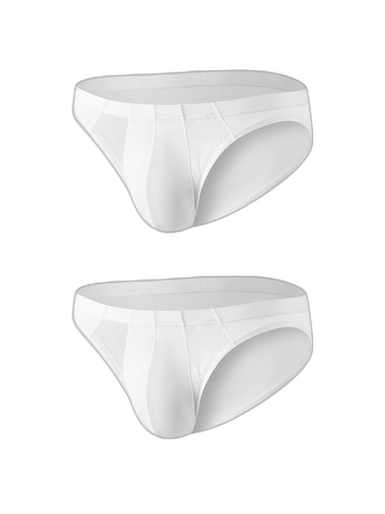 2 Pack Men's Sheer Mesh Low-Rise Sexy Ice Silk Briefs