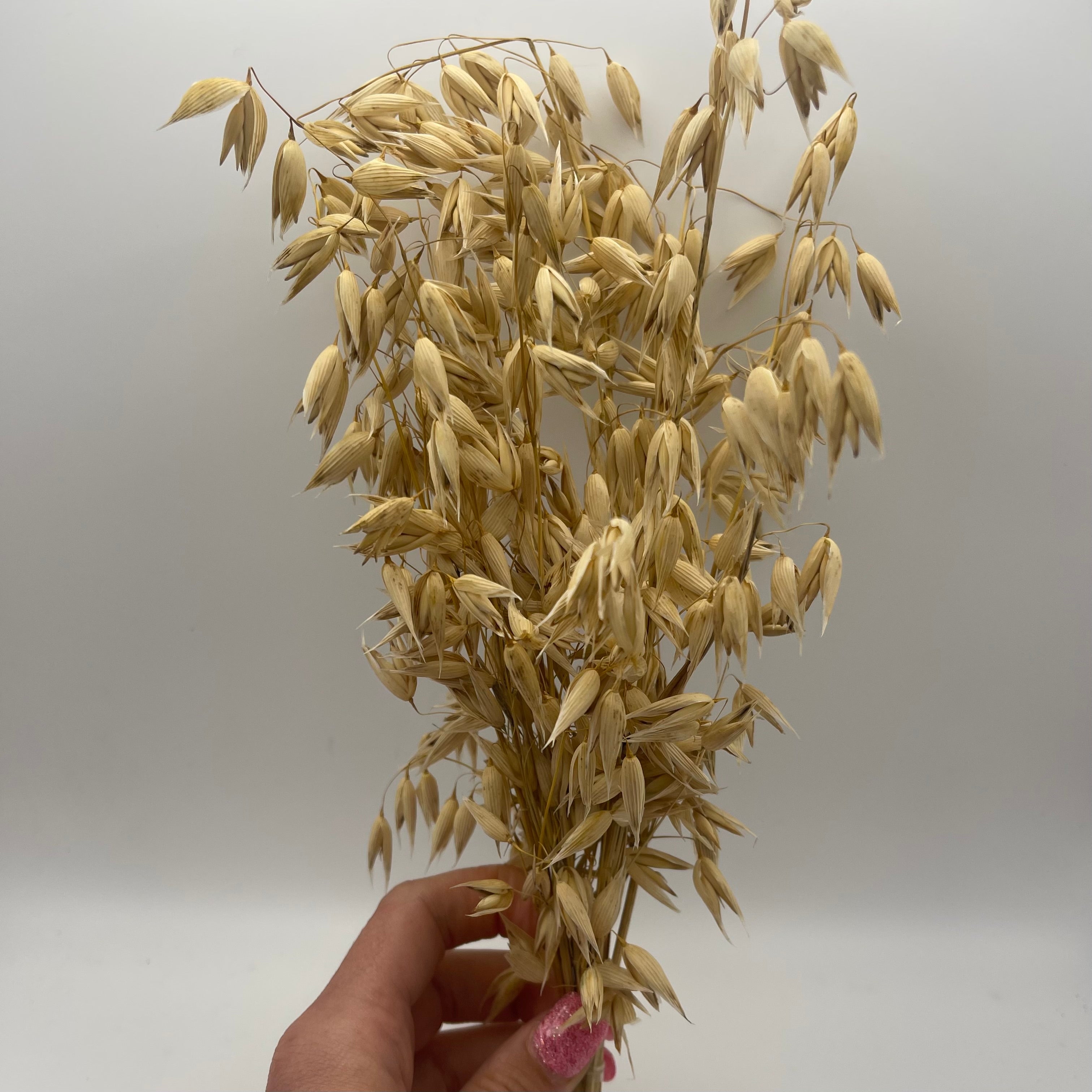 Oat Sprays