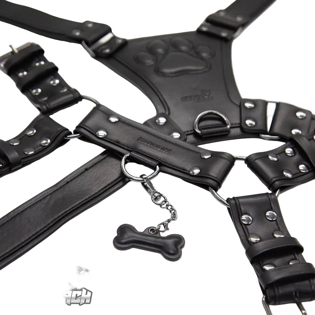 PU Leather Puppy Harness