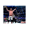 AJ Styles Signed 10x8 Image
