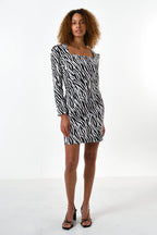 Anala Zebra Print Long Sleeve Mini Dress