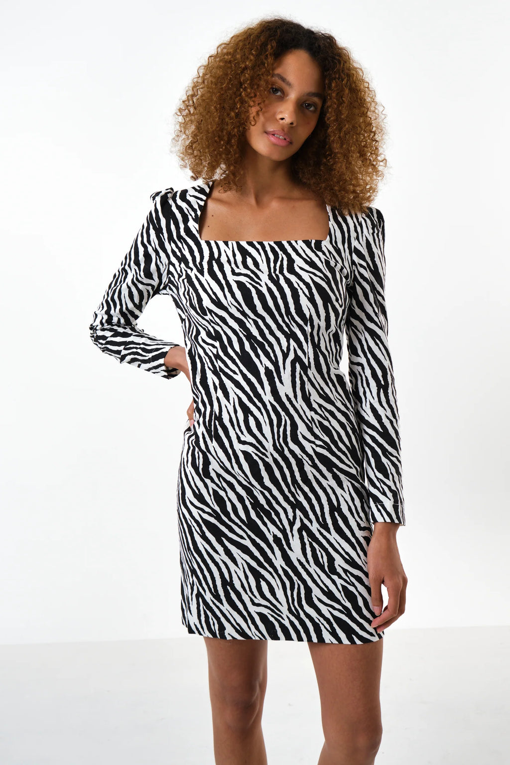 Anala Zebra Print Long Sleeve Mini Dress