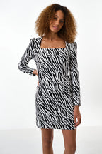 Anala Zebra Print Long Sleeve Mini Dress