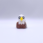 Bald Eagle