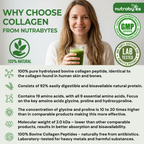 Collagen Powder with Vitamin C | Hydrolysed Bovine Collagen Peptides | High-Protein Supplement | Hair, Skin & Joints | Men & Women | Unflavoured | 330g