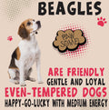 Beagle Metal Wall Art