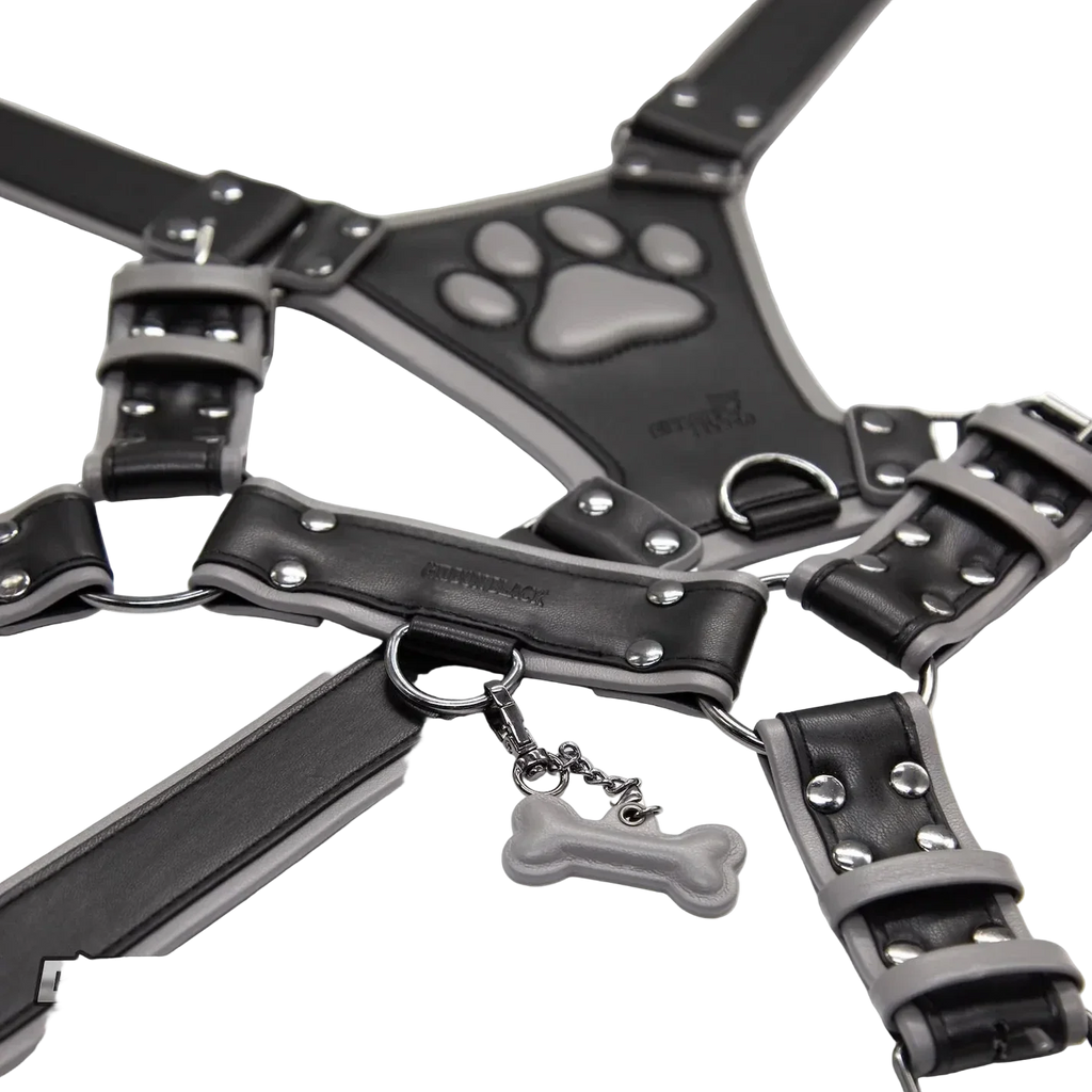 PU Leather Puppy Harness