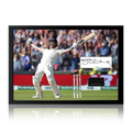 Ben Stokes Signed England Cricket Cut Iconic Frame