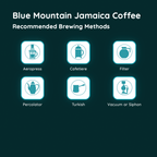 Blue Mountain Jamaica Coffee