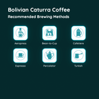 Bolivian Caturra Coffee