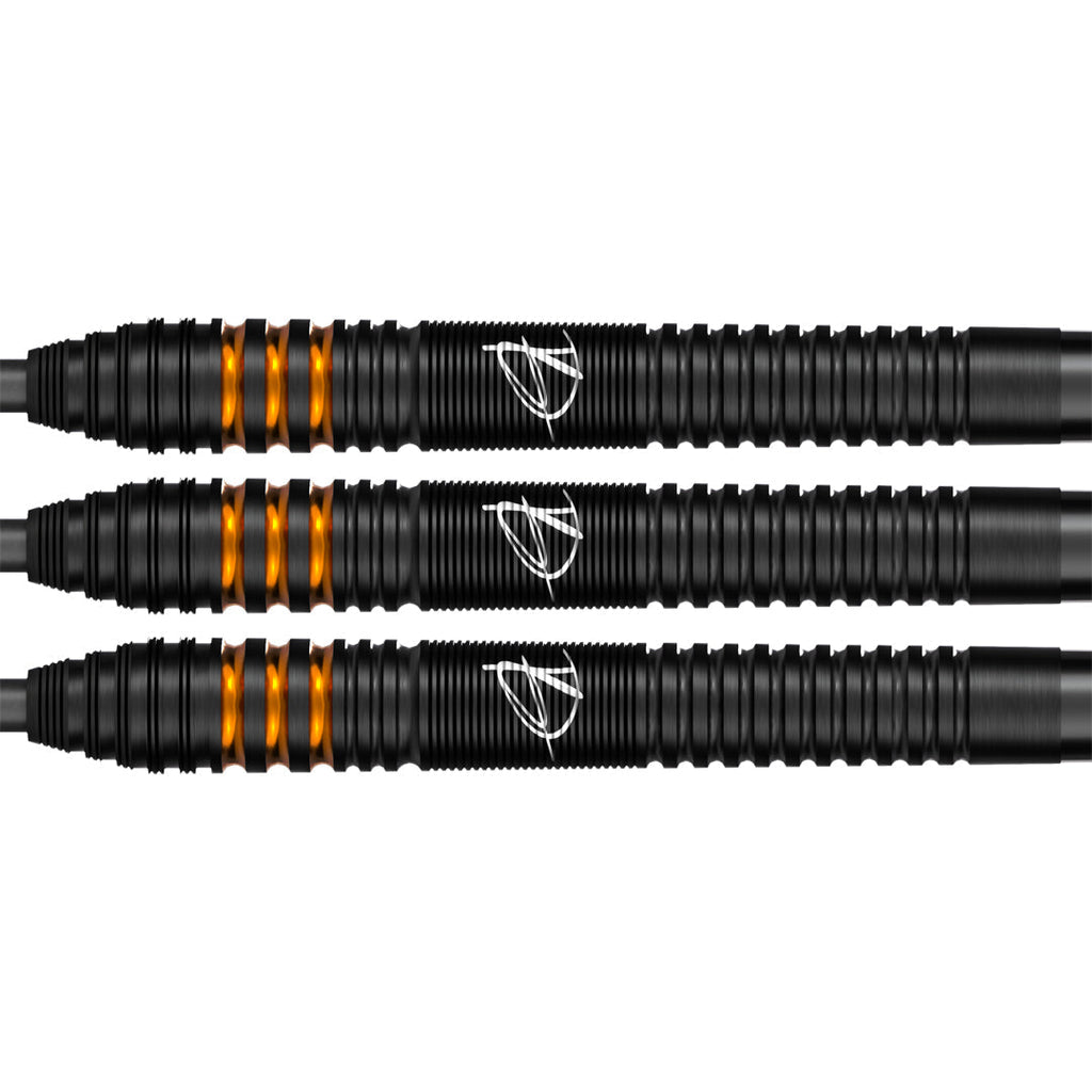 Bull's Dirk van Duijvenbode E2 90%