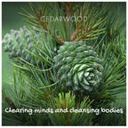 Cedarwood Natural Soap