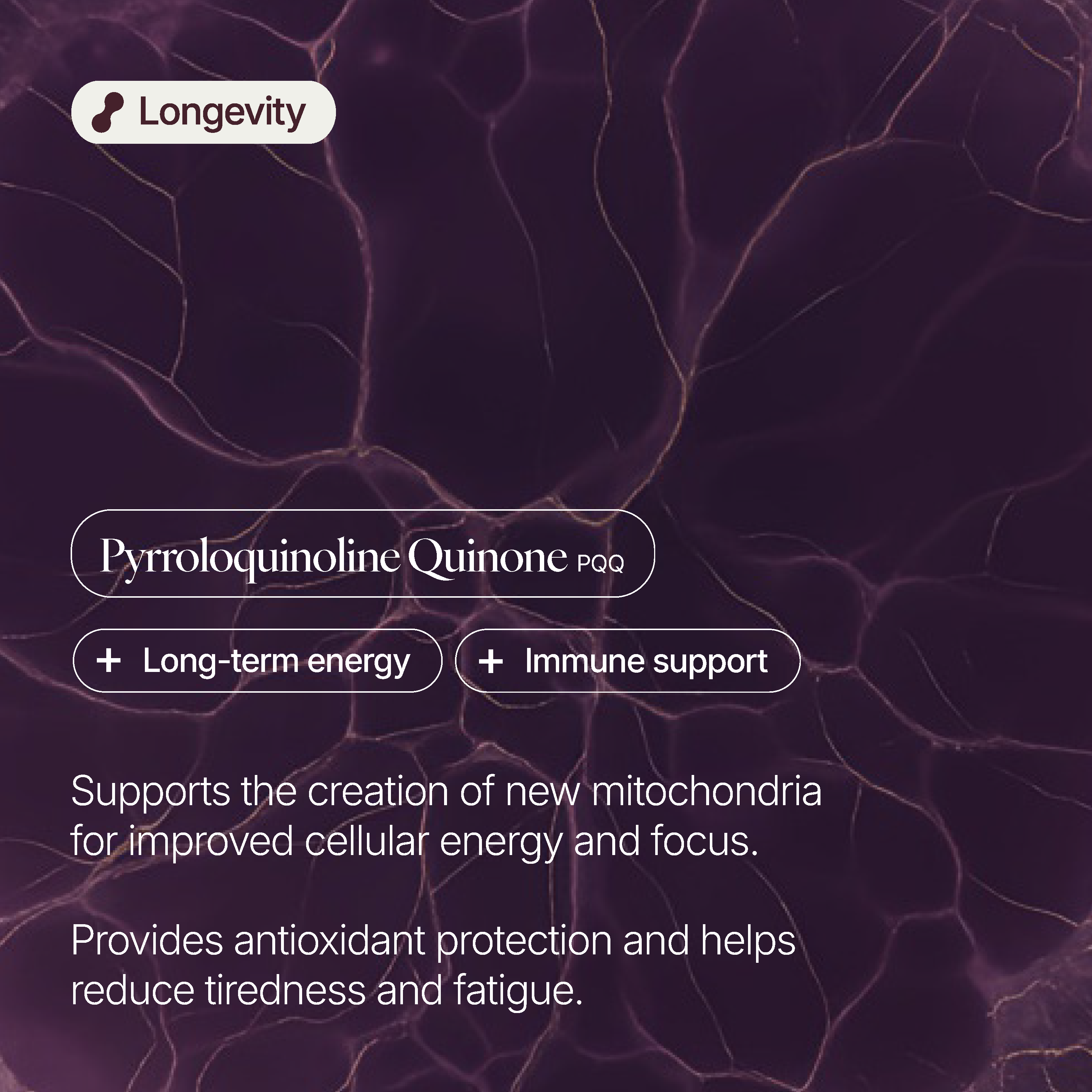 Verve PQQ (Pyrroloquinoline Quinone)