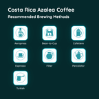 Costa Rica Azalea Coffee