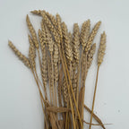 Wheat Sprays