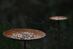 Metal Bird Feeding Platform