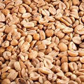 Organic Dry Roasted Peanuts